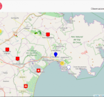 Neix un portal de gestió del mosquit tigre amb participació ciutadana