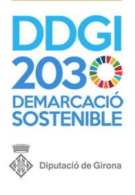 Presentació del Pla Estratègic per assolir els ODS