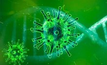 Informació d’interès sobre el coronavirus
