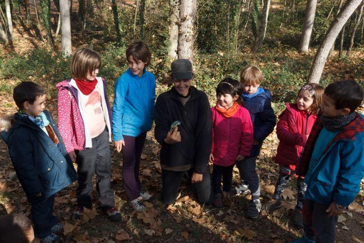 Anellament d'ocells a Vilobí d'Onyar.