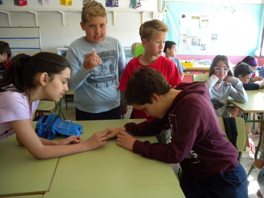 Una sessió del Projecte Educatiu del Mosquit Tigre a l'Escola Josep Madrenys de Vilobí d'Onyar