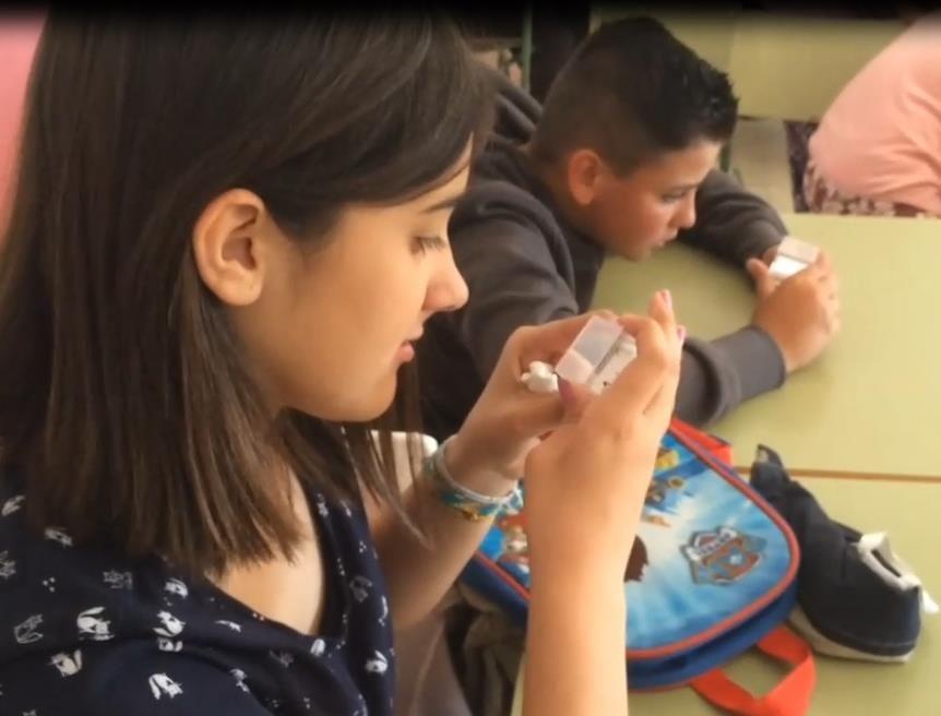 Una sessió del Projecte Educatiu del Mosquit Tigre a l'Escola Josep Madrenys de Vilobí d'Onyar