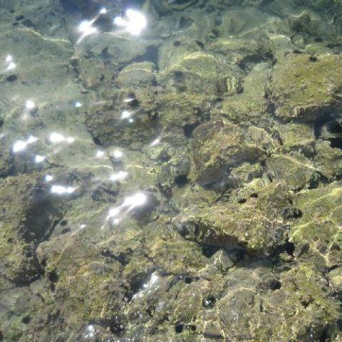 Dipsalut convoca subvencions per a la promoció de polítiques de salut pública 