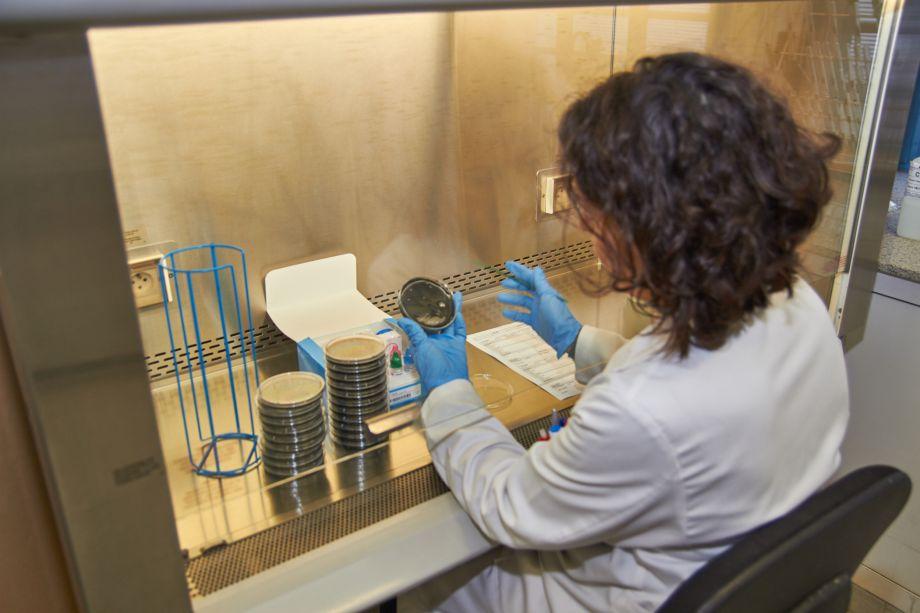 Control analític per detectar o descartar la presència de legionel·la