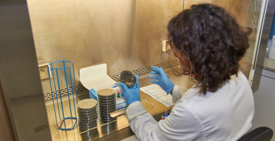 Control analític per detectar o descartar la presència de legionel·la