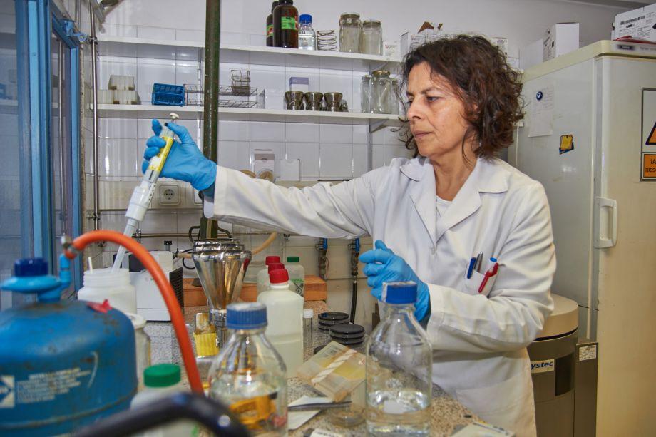 Les mostres d'aigua per a la detecció de legionel·la s'analitzen al laboratori