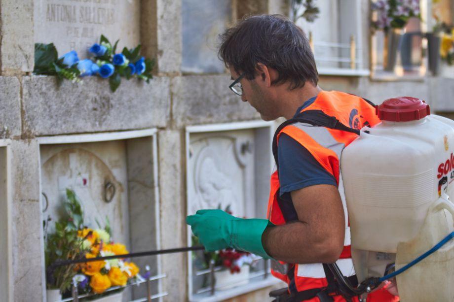 Actuació per controlar la població de larves i mosquits adults