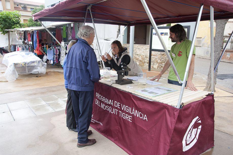 Noves accions de sensibilització per lluitar contra el mosquit tigre als espais privats