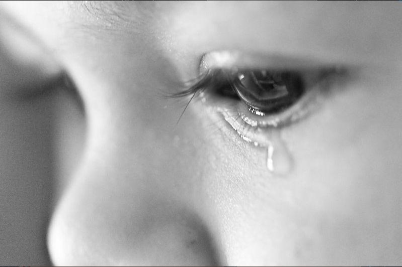 Fotografia de banc d'imatges