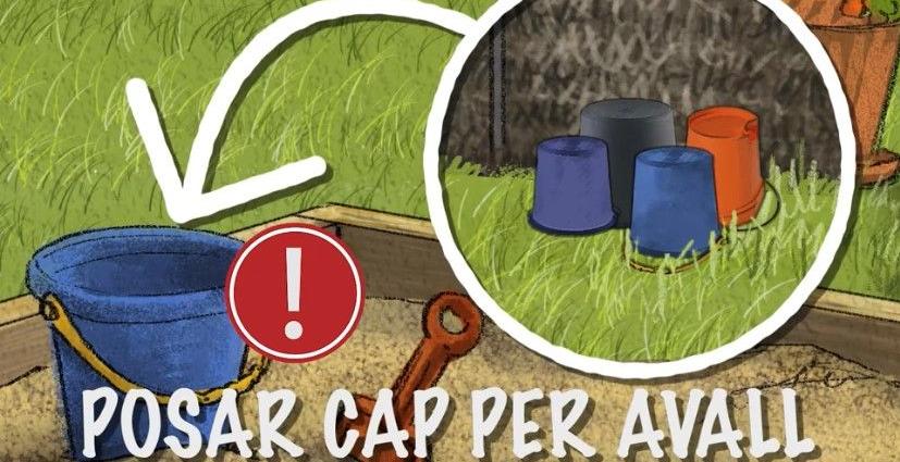 ARRIBEN LES PLUGES I CAL ACTIVAR LA PREVENCIÓ CONTRA LA CRIA DEL MOSQUIT TIGRE