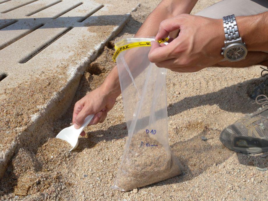 Avaluem l'estat sanitari de les sorres