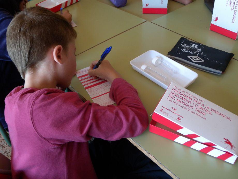 El Projecte educatiu del mosquit tigre s'adapta al tancament de les escoles