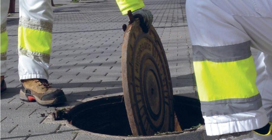 Control de plagues, sense verins