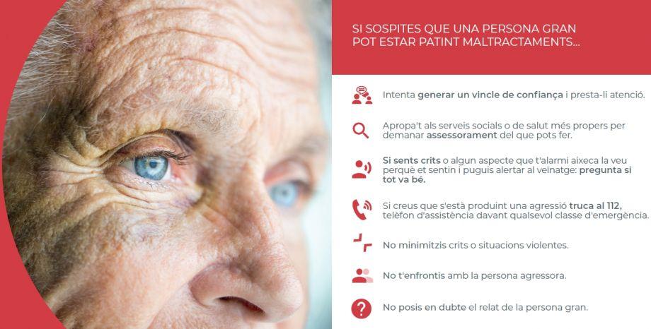 Detall del folletó informatiu