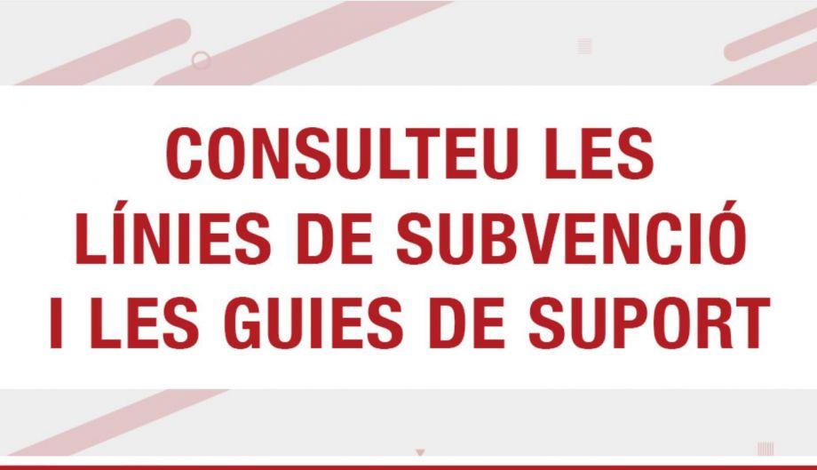 Suport econòmic a entitats, consells comarcals, consorcis i ajuntaments