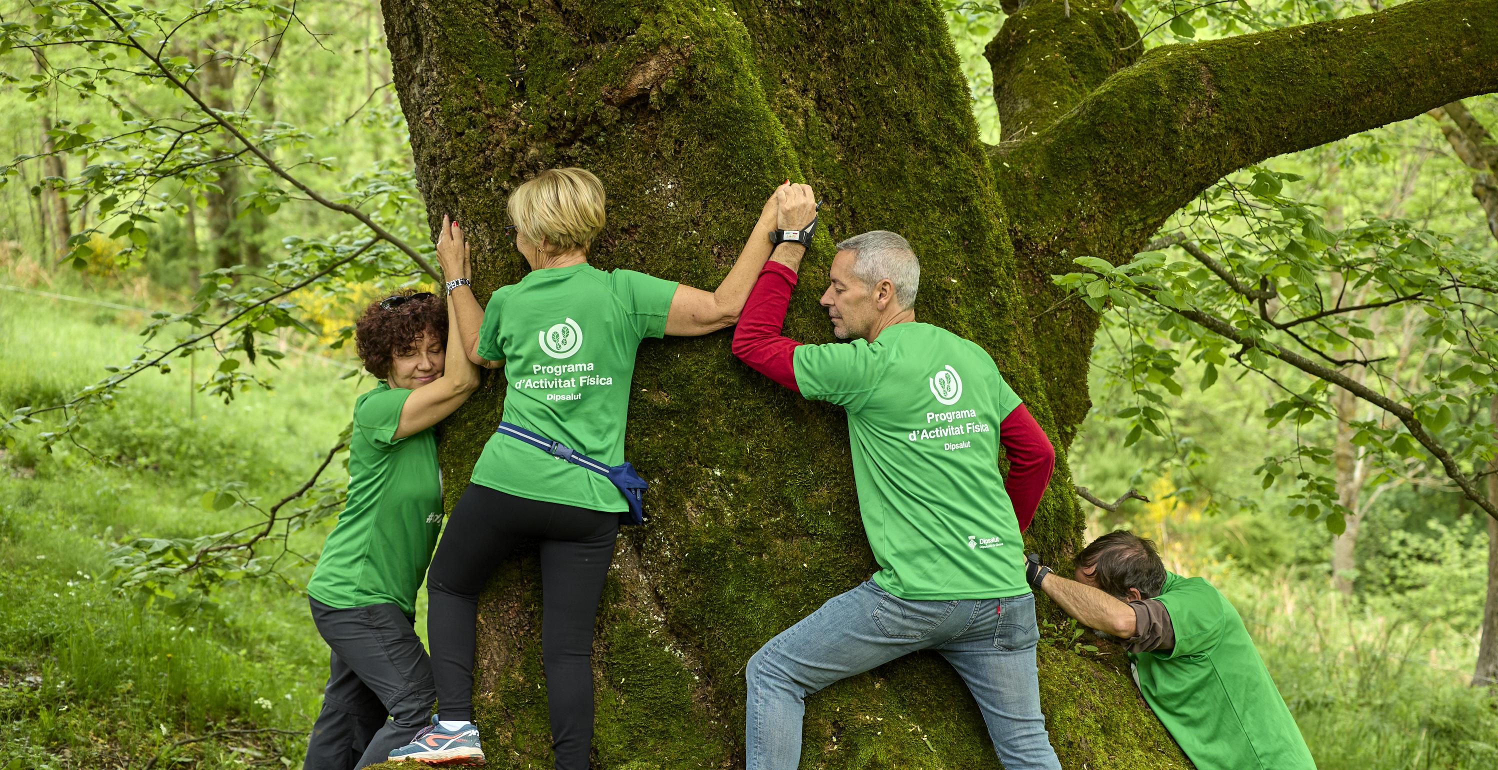bany de bosc a Molló